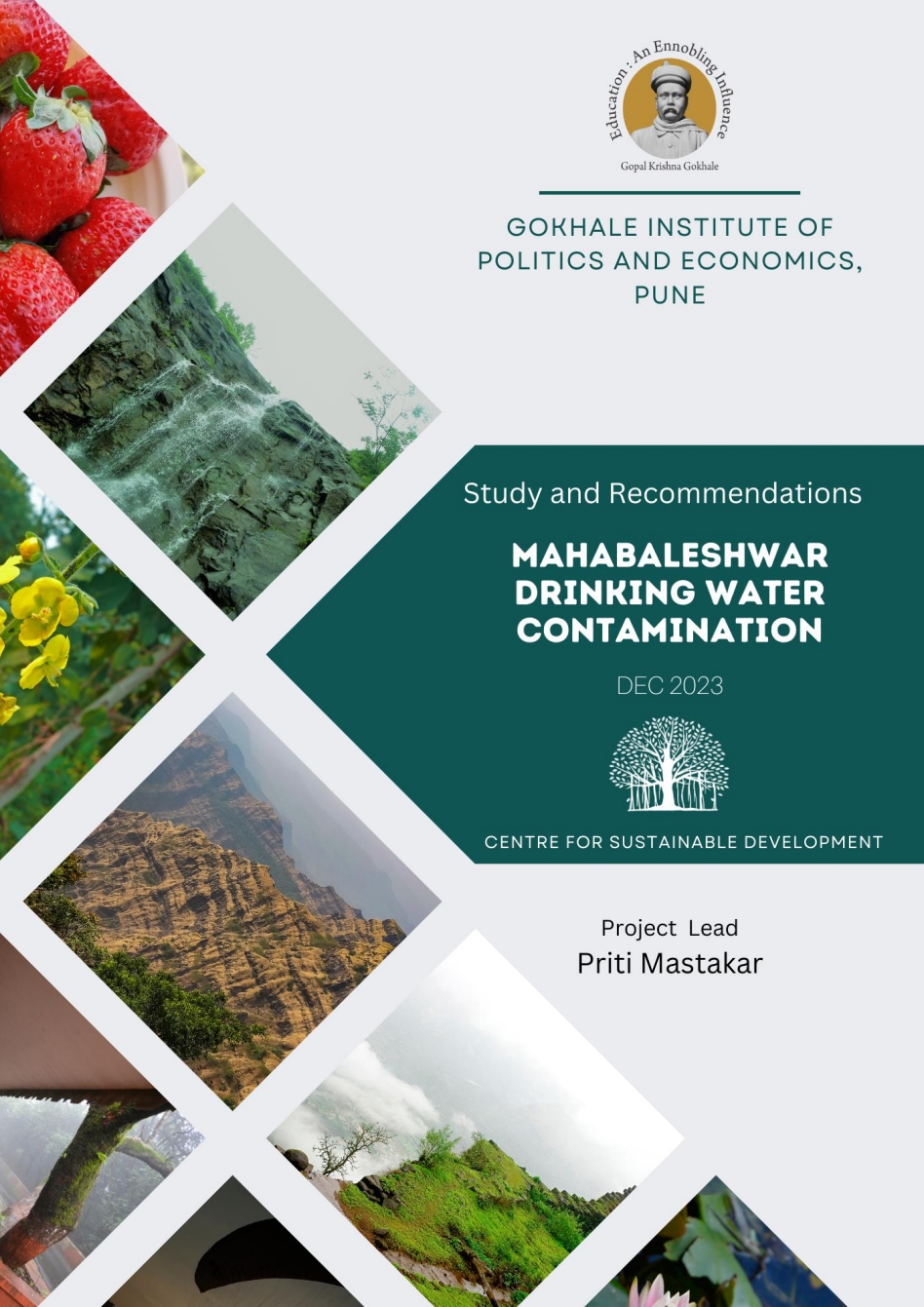 Mahabaleshwar report cover